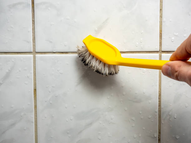 Best Kitchen Mold Remediation in Wynantskill, NY
